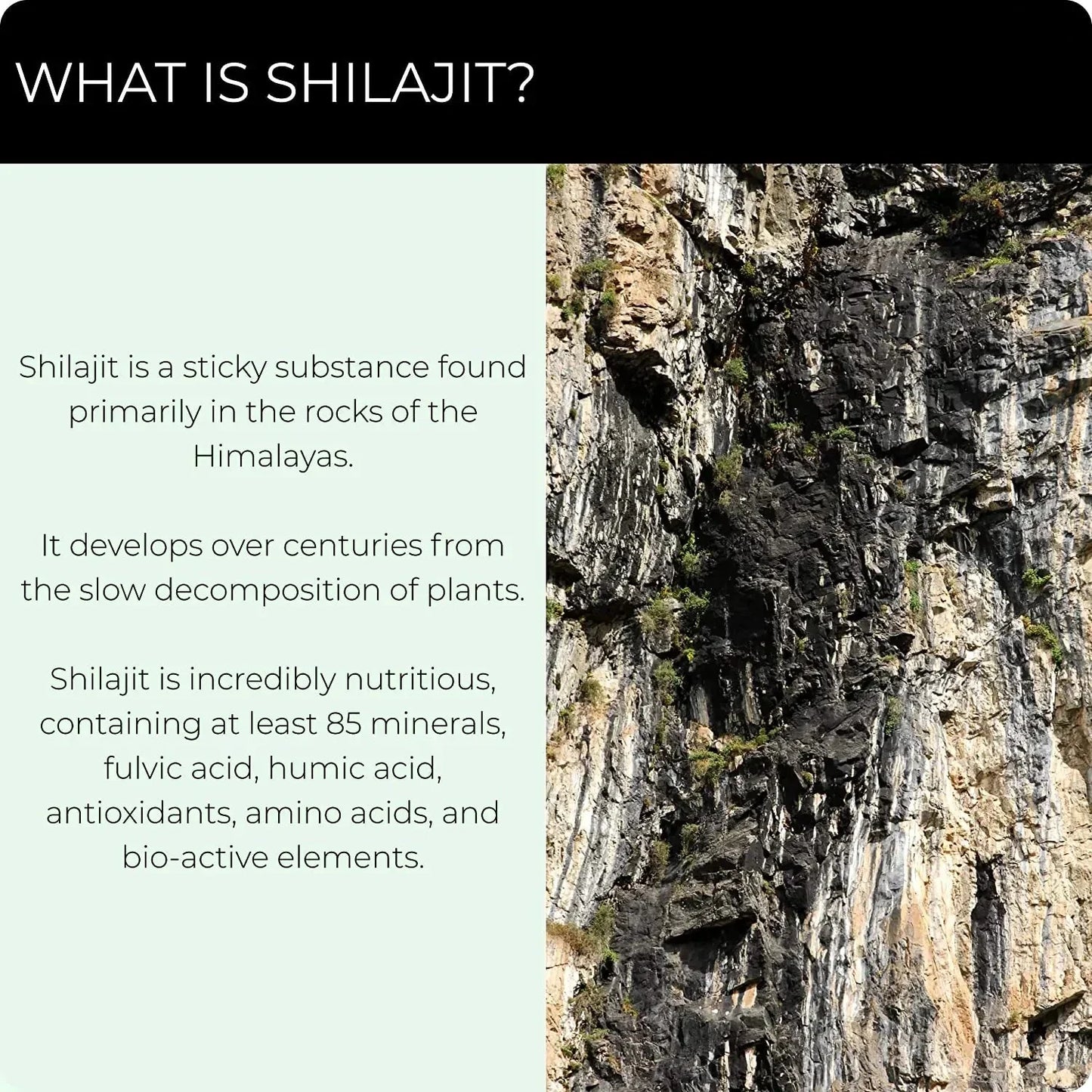 Extracto esencial de Shilajit